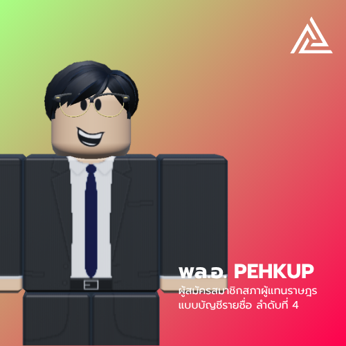 ผู้สมัคร 4